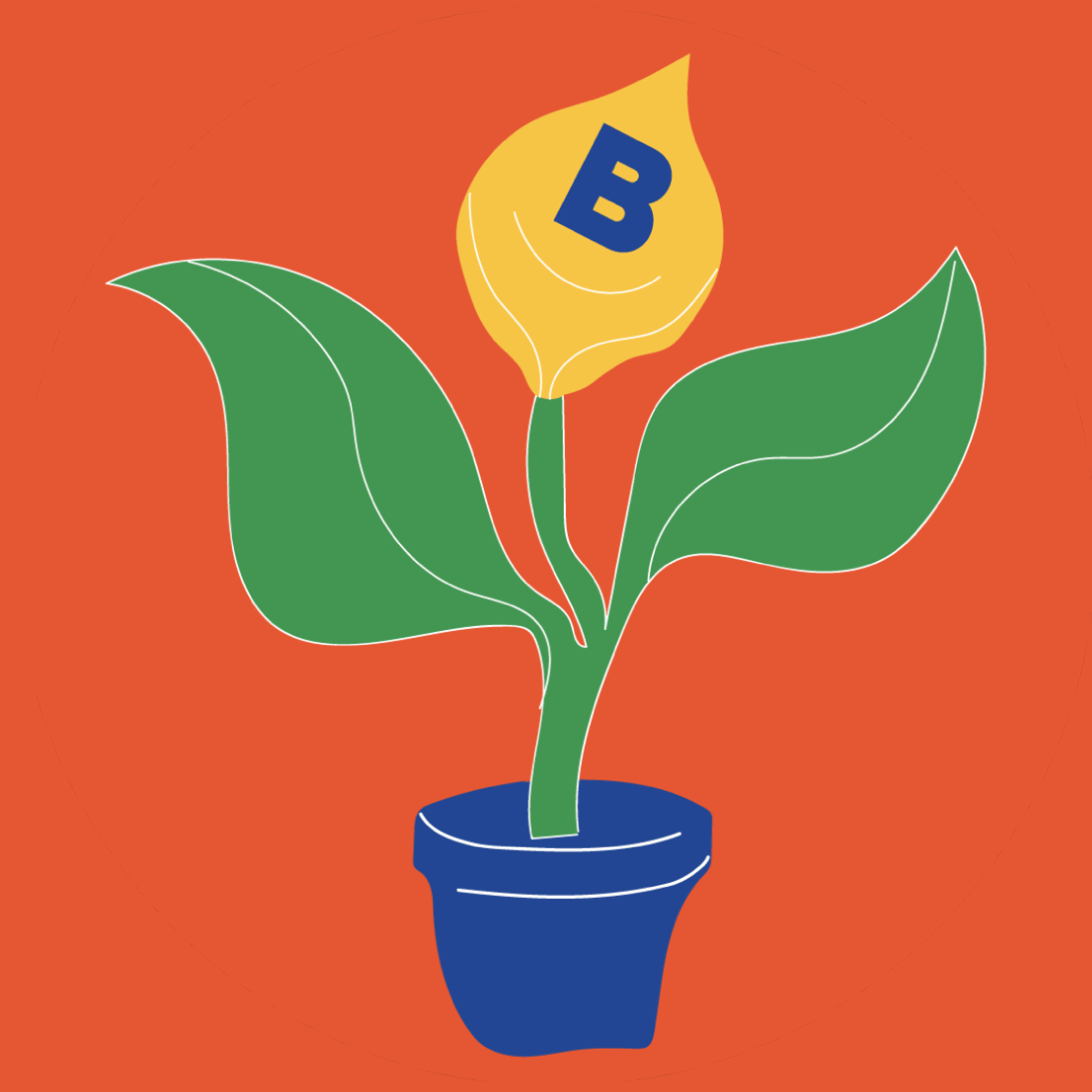 Plante B — visuel du projet